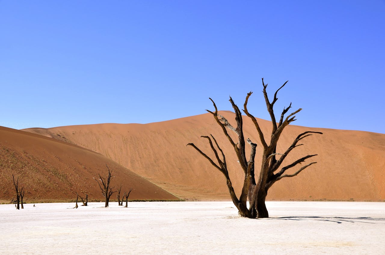 Hidden Gems - Sossusvlei, Namibia.