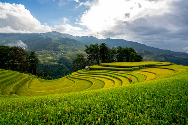 Ziro valley.